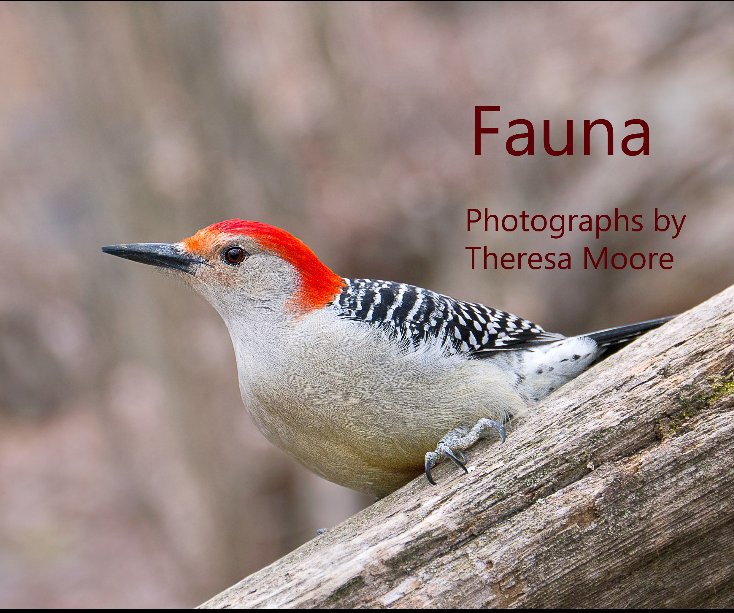View Fauna by Theresa Moore