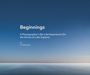 The Beginnings Book 4 book cover