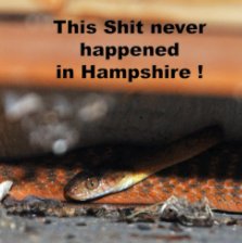 This shit never happened in Hampshire book cover