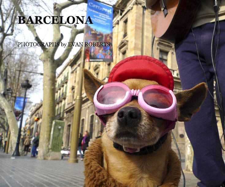 View BARCELONA by PHOTOGRAPHS by EVAN ROBERTS