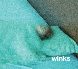 Forty Winks book cover