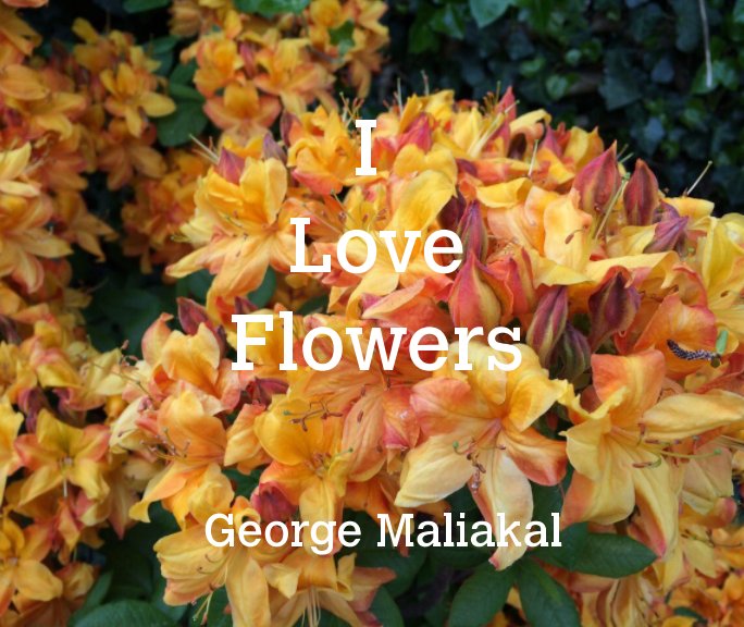 View I Love Flowers by George Maliakal