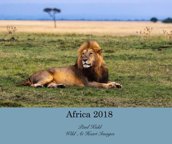 View Africa 2018 by Paul Kidd Wild At Heart Images
