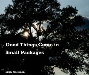 Good Things Come in Small Packages book cover