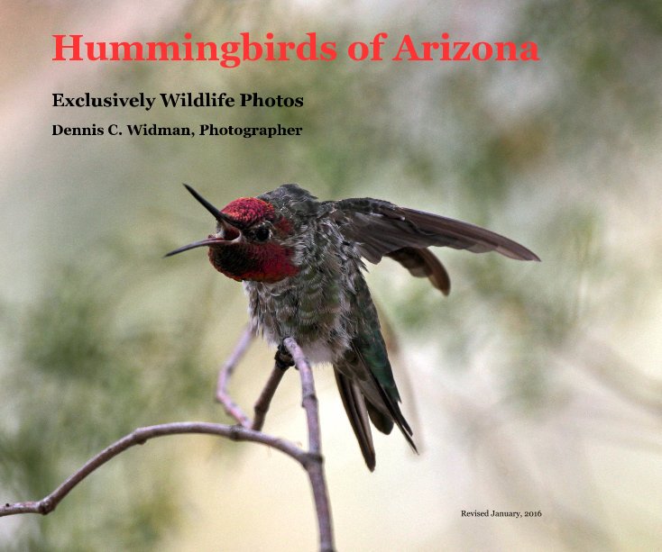 View Hummingbirds of Arizona by Dennis C. Widman, Photographer