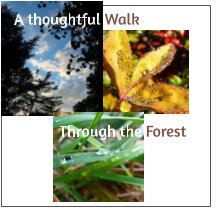 A Thoughful Walk Through the Forest book cover