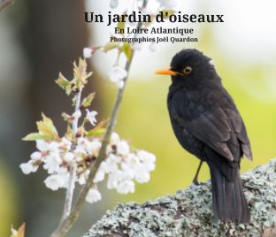 Un jardin d'oiseaux book cover