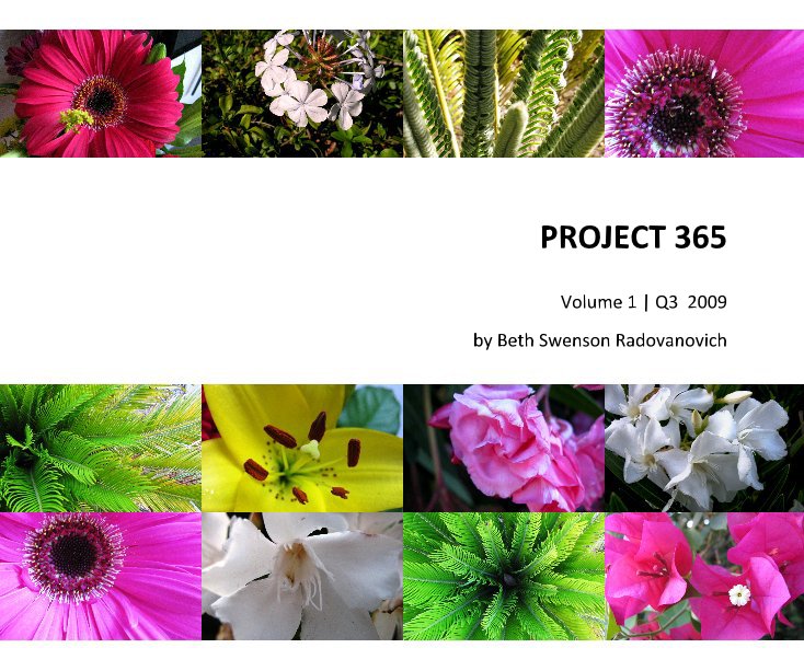 Ver PROJECT 365 por Beth Swenson Radovanovich