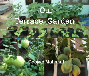 Our Terrace Garden book cover