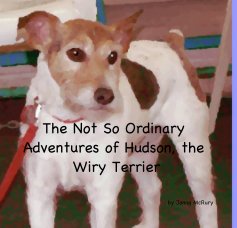 The Not So Ordinary Adventures of Hudson, the Wiry Terrier book cover