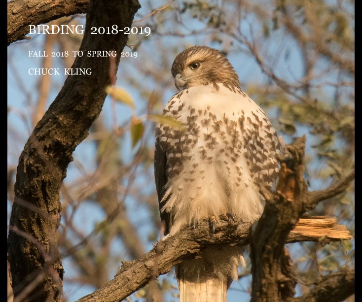 Ver Birding 2018-2019 por CHUCK KLING