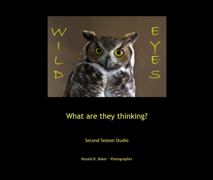 What are they thinking? book cover