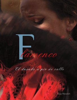 Flamenco a pie de calle book cover
