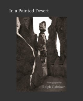 In a Painted Desert book cover