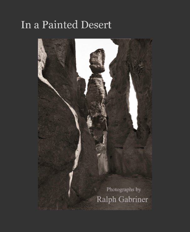 Visualizza In a Painted Desert di gabriner