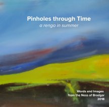 Pinholes Through Time book cover