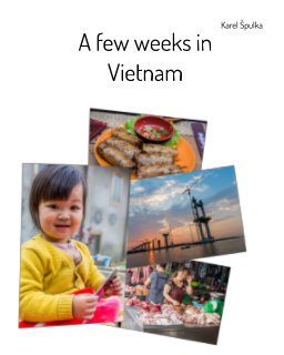 A few weeks in Vietnam book cover
