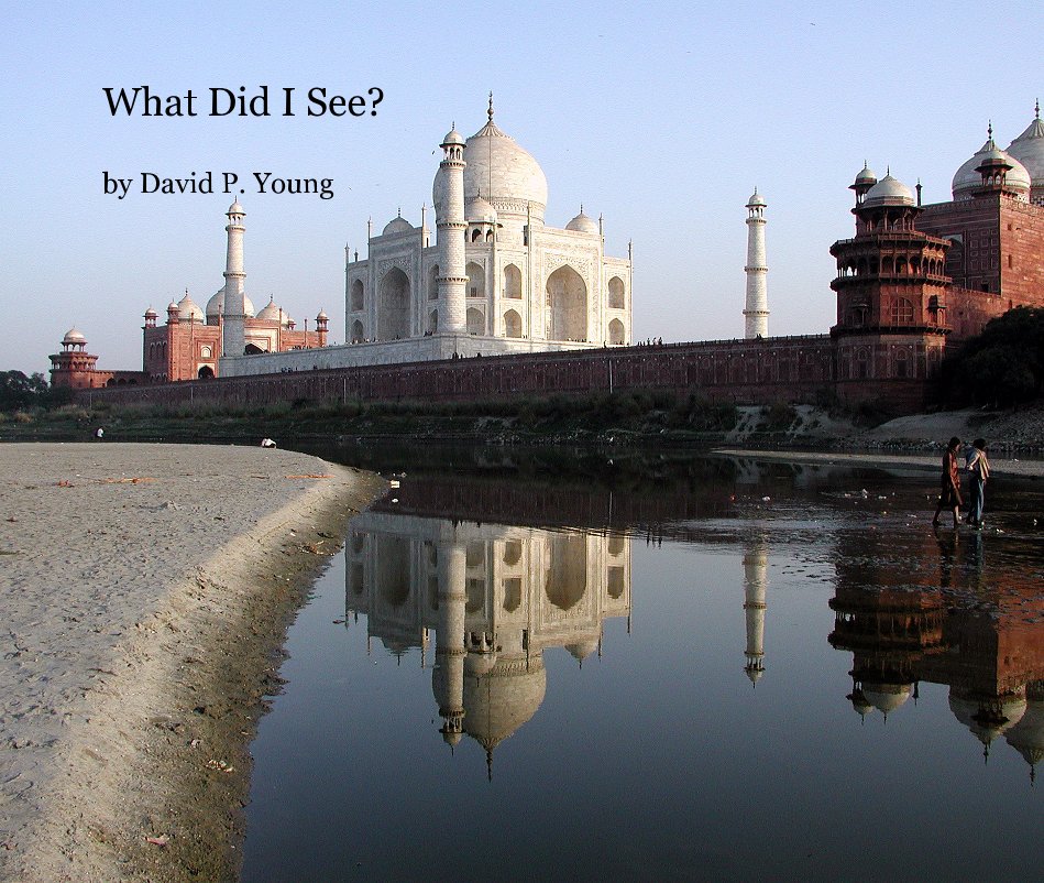 View What Did I See? by David P. Young by David P. Young