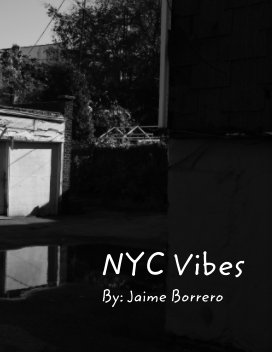 NYC Vibes book cover
