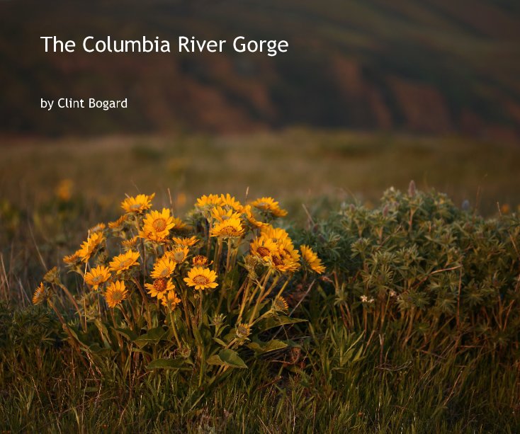 View The Columbia River Gorge by Clint Bogard