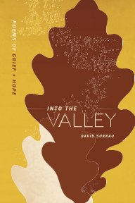 Into the Valley book cover