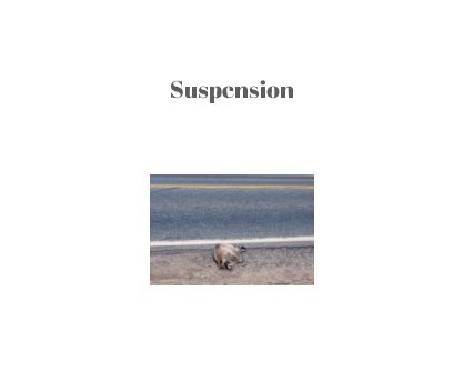 Suspension book cover