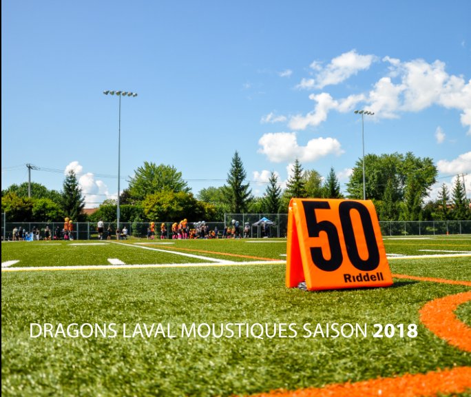 View Dragons Laval Moustiques Saison 2018 by Patrick Lauziere