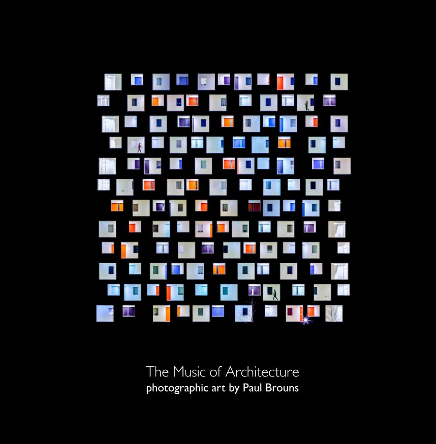 View The Music of Architecture by Paul Brouns
