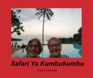 Safari Ya Kumbukumbu book cover