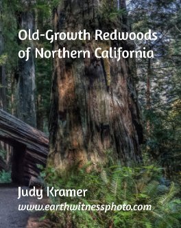 Old-Growth Redwoods of Northern California book cover