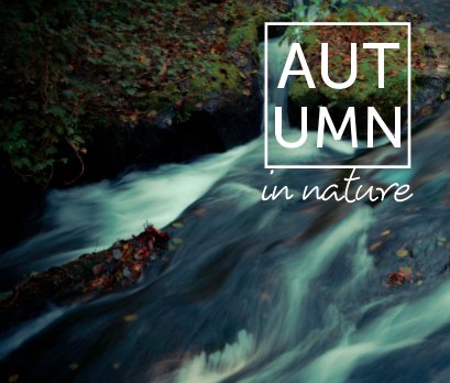 Autumn in Nature | The Treja Valley Nature Reserve, Lazio, Italy. book cover