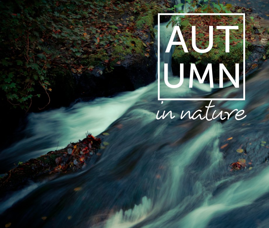 Autumn in Nature | The Treja Valley Nature Reserve, Lazio, Italy. nach Michele Rallo MR PhotoArt © anzeigen