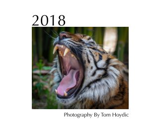 2018 Portfolio book cover