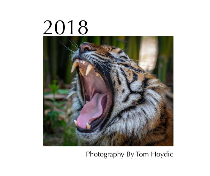 Ver 2018 Portfolio por Tom Hoydic