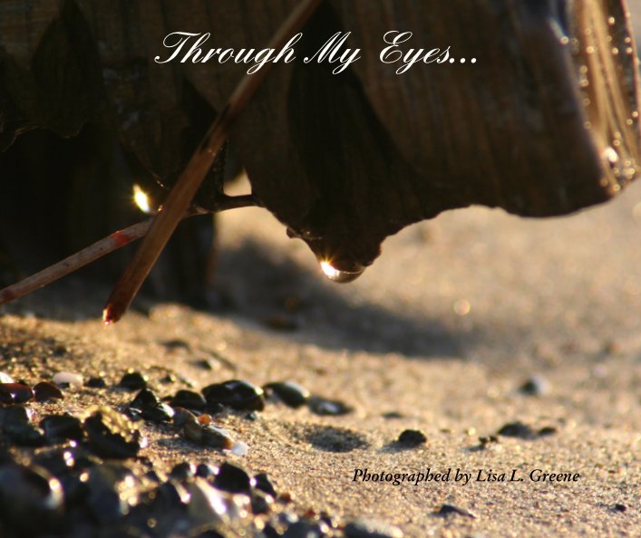 View Through My Eyes by Photographed by Lisa L. Greene