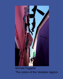 The colors of the Venetian lagoon. book cover