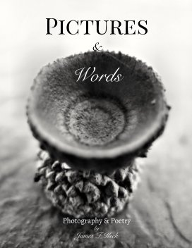 Pictures and Words book cover