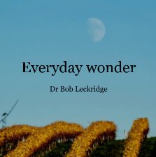 Everyday wonder book cover