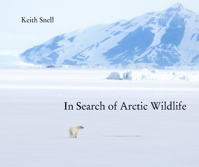 View In Search of Arctic Wildlife by Keith Snell