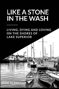 Like a Stone in the Wash book cover