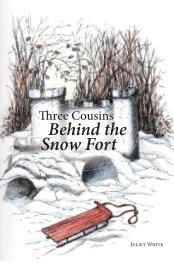 Three Cousins Behind the Snow Fort book cover