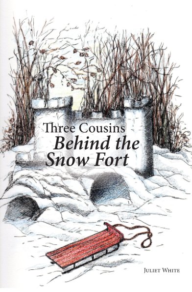 View Three Cousins Behind the Snow Fort by Juliet White