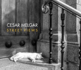 CESAR MELGAR: Street Views book cover