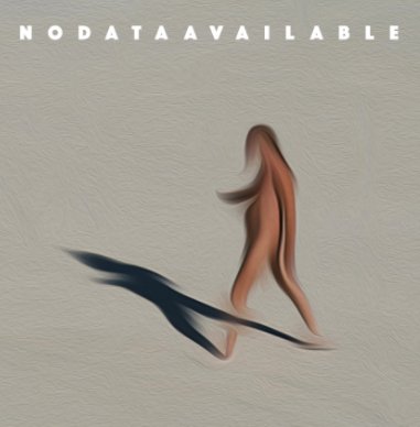 NoDataAvailable book cover