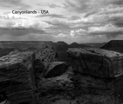 Canyonlands - USA book cover