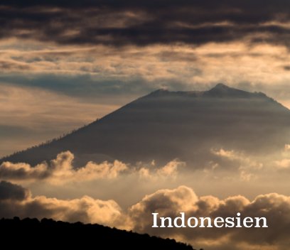 Indonesienreise 2018 book cover