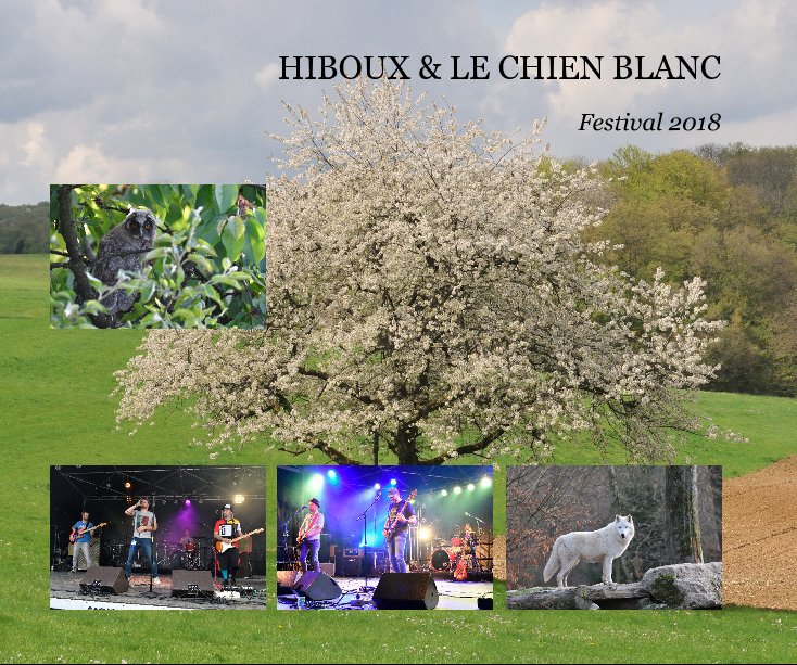 View Hiboux et Le Chien Blanc by Thierry BONDUELLE