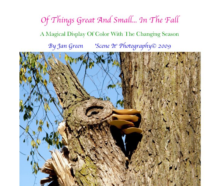 Ver Of Things Great And Small... In The Fall por Jan Green 'Scene It' PhotographyÂ© 2009