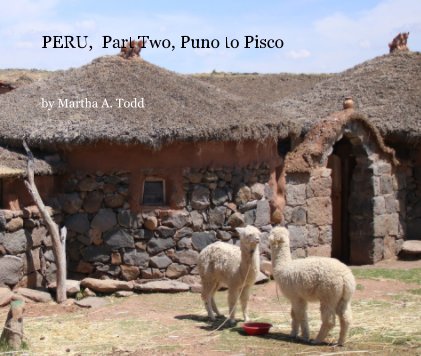 PERU, Part Two, Puno to Pisco book cover