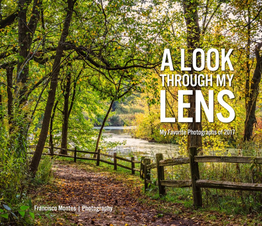 View A Look Through My Lens | 2017 by Francisco Montes